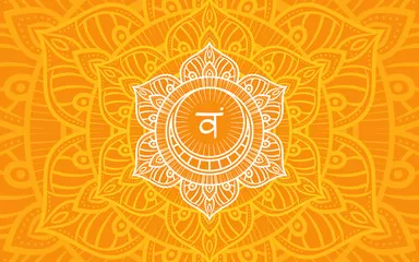 شاكرا_العجز شاكرا_العجز