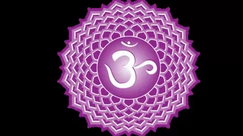 شاكرا التاج أو الشاكرا المقدسة شاكرا التاج أو الشاكرا المقدسة