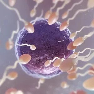 ما هو انسداد قناة فالوب وما يتسبب فيه؟