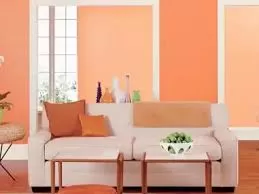 اللون المشمشي الفاتح في الدهانات