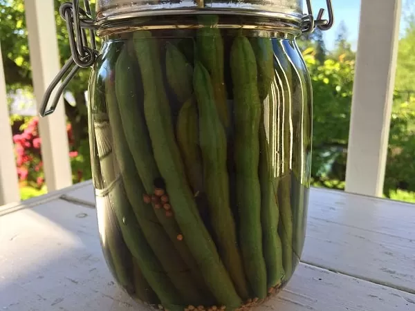 مخلل الفاصولياء مخلل الفاصولياء