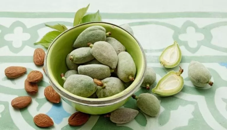مخلل اللوز الأحضر مخلل اللوز الأحضر