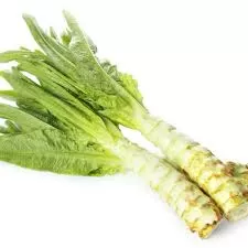 Celtuce Lettuce Celtuce Lettuce