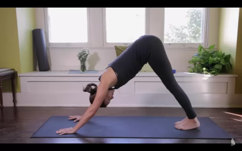 اليوجا للمبتدئين بالصور اليوجا للمبتدئين بالصور