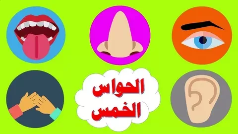الحواس الخمسة