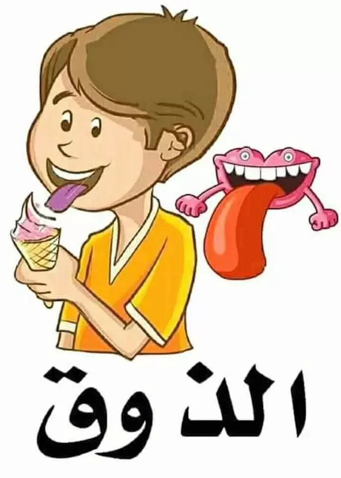 حاسة التذوق