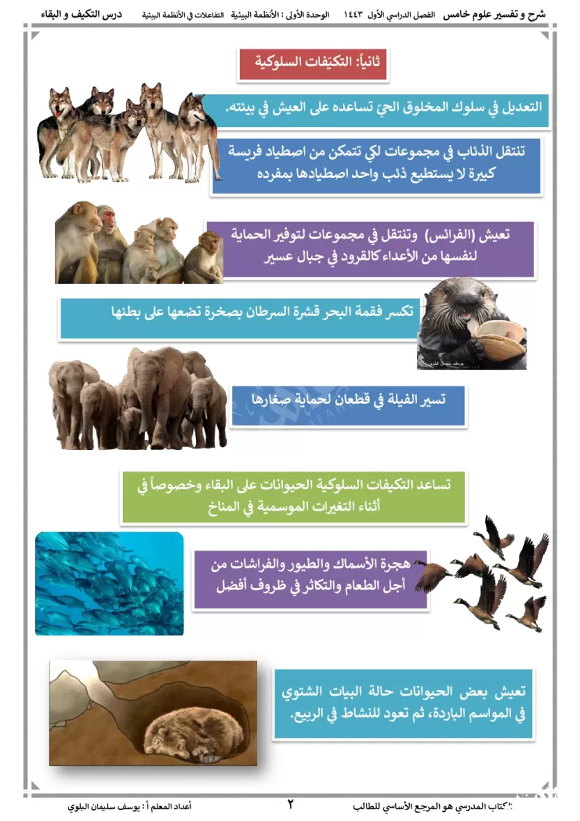 السكون والاختباء من التكيفات السلوكية للحيوانات على اليابسة في فصل الصيف، وذلك لحماية نفسها من؟ السكون والاختباء من التكيفات السلوكية للحيوانات على اليابسة في فصل الصيف، وذلك لحماية نفسها من؟