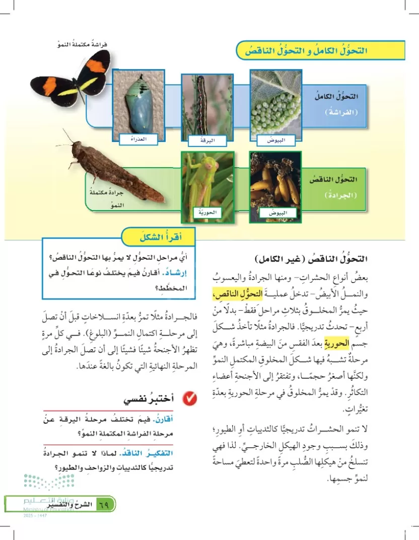 ما نوع التحول في الصورة التالية ما نوع التحول في الصورة التالية