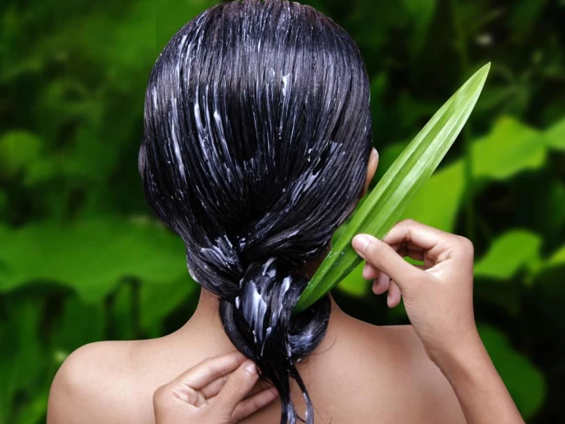 الصبار لتساقط الشعر