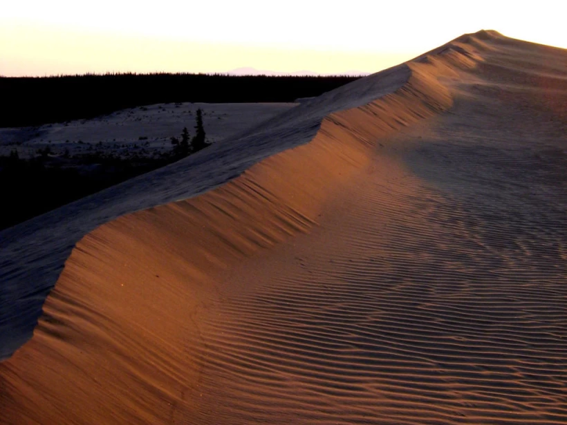 صحراء ألاسكا صحراء ألاسكا