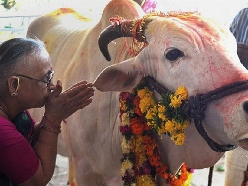 كم عدد الديانات في الهند كم عدد الديانات في الهند