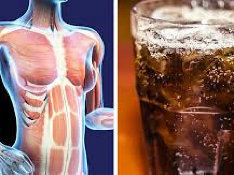أضرار المشروبات الغازية على الكلية أضرار المشروبات الغازية على الكلية