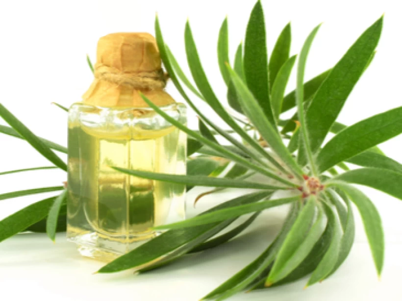 أفضل زيوت طبيعية للأظافر أفضل زيوت طبيعية للأظافر