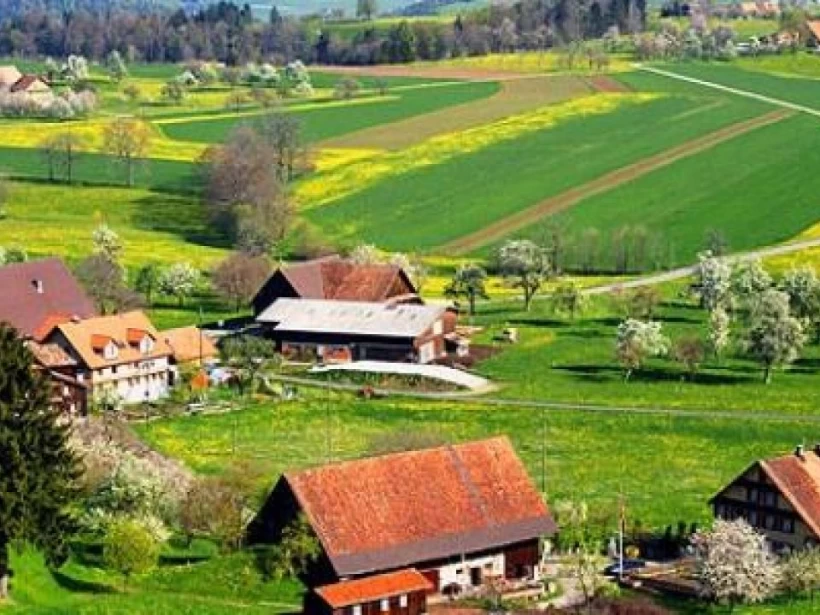 دولة نيوزيلندا دولة نيوزيلندا