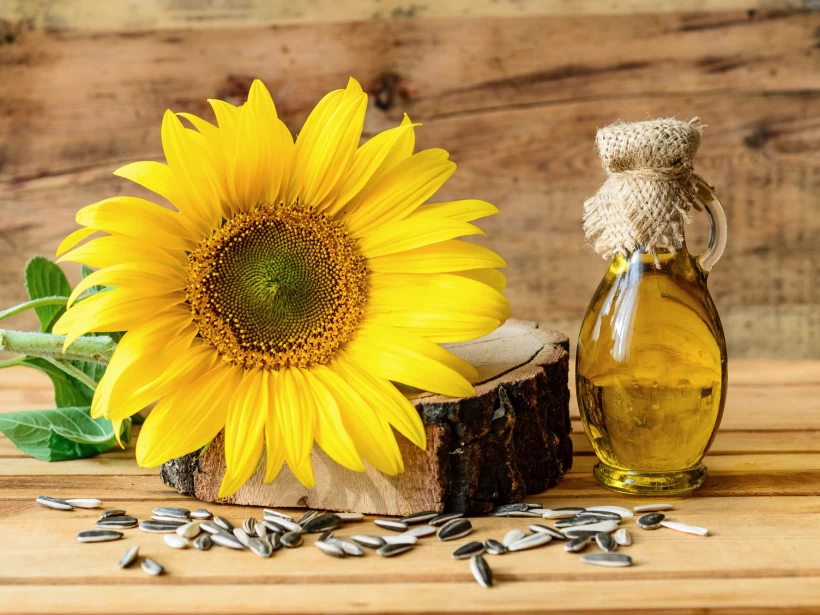 أهم زيوت الأعشاب الطبيعية أهم زيوت الأعشاب الطبيعية