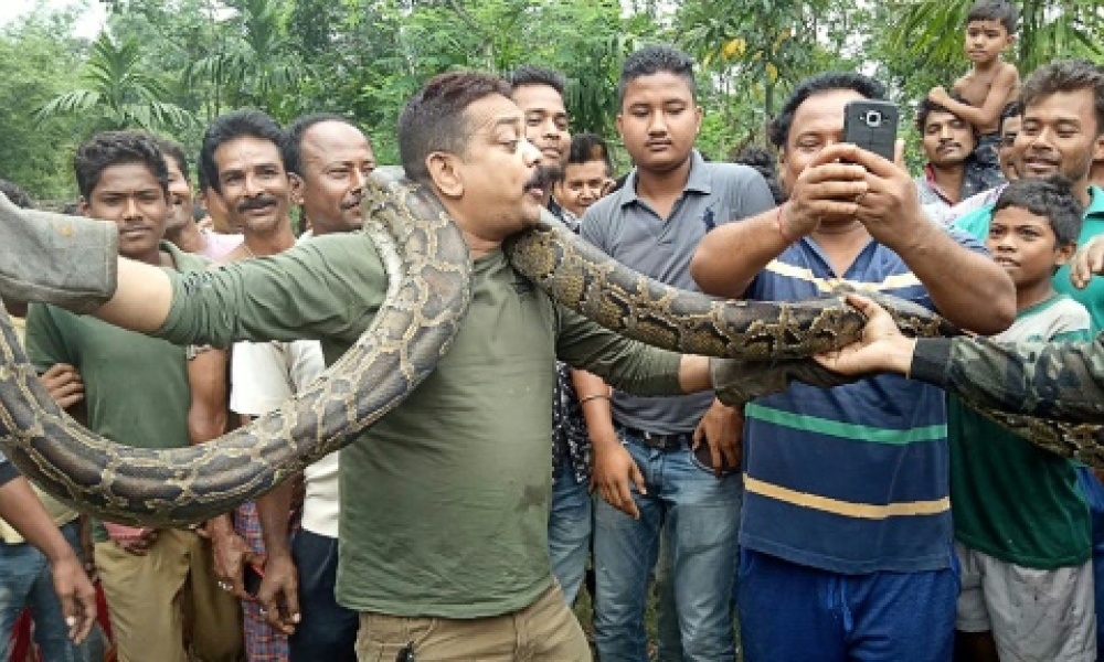 مهرجان الأفعى في الهند 